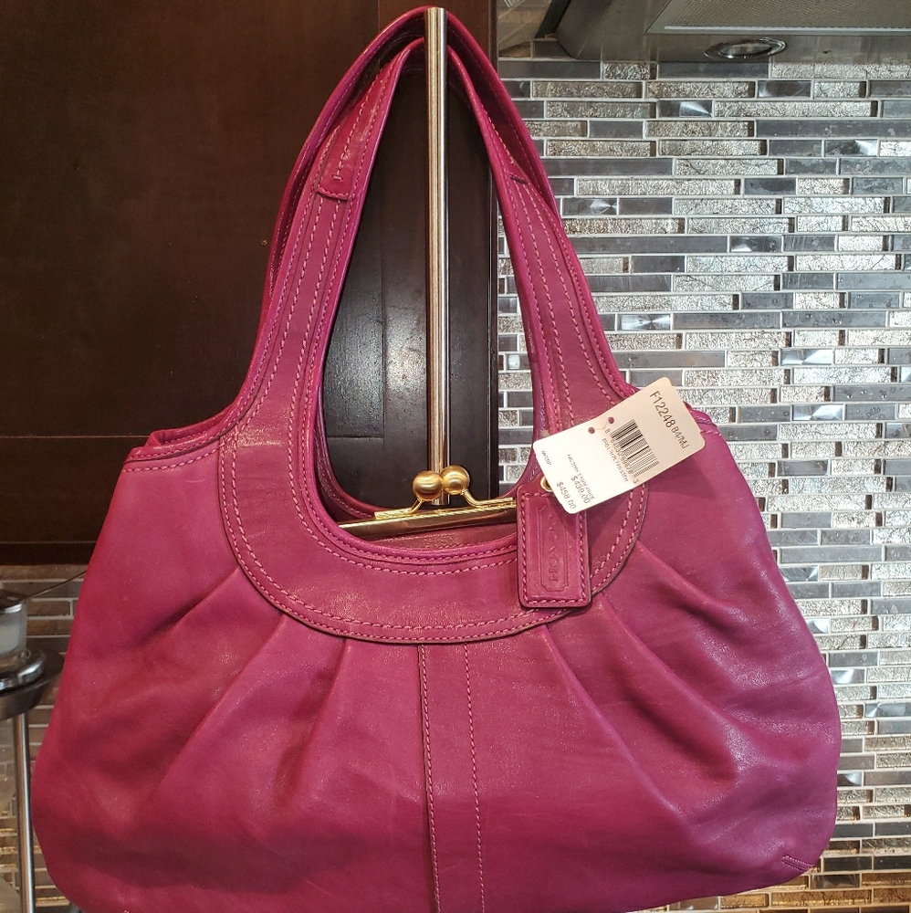 NWT Coach Ergo Pleated Handbag